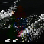 Anissa Harahap profile icon