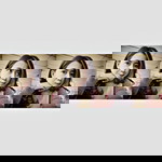 Layly Avriyanti profile icon