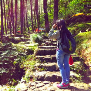 Mite Item profile icon