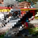 Cchemoed Cyank Pullforever profile icon