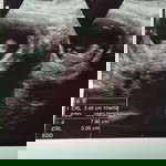 Rania profile icon