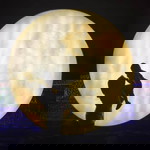 Nur Hajar profile icon