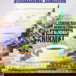Tehjanaaherbal Banda Aceh profile icon