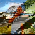 Bryan Labtic profile icon