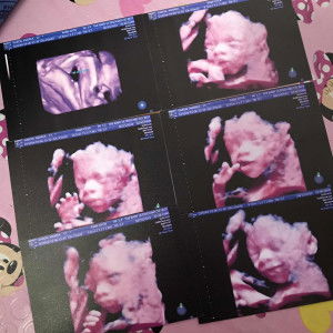 Andrea Morales Garon profile icon