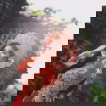 NoUt DalavAnh profile icon