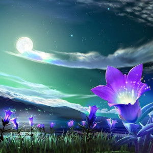 Siti Fatimah profile icon