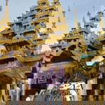 Kamlai Damnootai profile icon