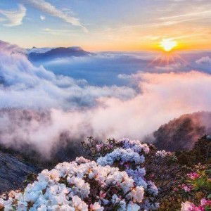 faith rahman profile icon