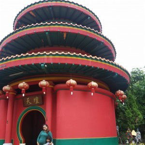 Cherry Purple II profile icon