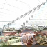 siti nur fitrah profile icon