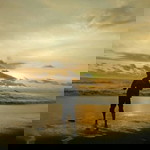 Wahid Shofyan Ashar profile icon