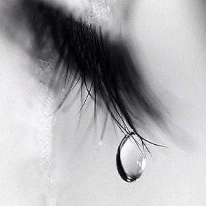 Perua Nguyen profile icon