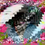 สมหญิง แจ้งกูล profile icon