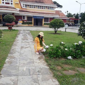 Lợi Lợi profile icon