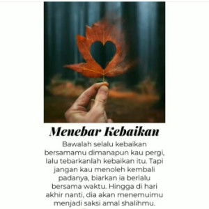 Desi Trifani profile icon