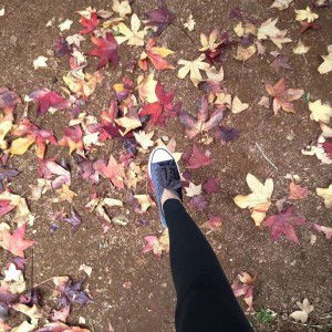 Anonymous profile icon