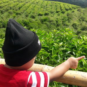 fitriany profile icon