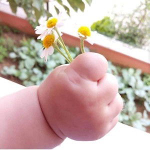 Ngọc Nấm profile icon