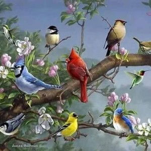 Angie Pascua profile icon