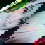 Maria Al Hamid profile icon