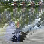 Dhalilah Sabrina Ningtias profile icon