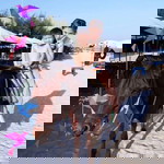 นกน้อย เริ่มฝึกบิน profile icon