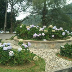 mrs.rara profile icon