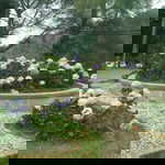 mrs.rara profile icon