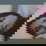 Yetyy Devath profile icon