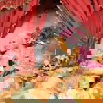 Senja Fadillah profile icon