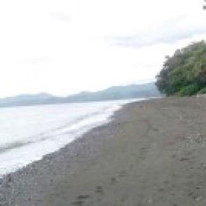 Gracia Pacheco profile icon