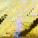 Sarmina Guiapar II profile icon