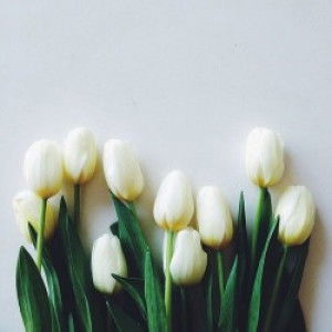 Endang Sulistyaningsih profile icon