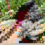 Kwan Witree profile icon