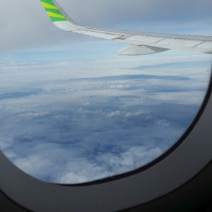 Ika Widyanti profile icon