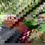 Alis Siti Nuraeni profile icon