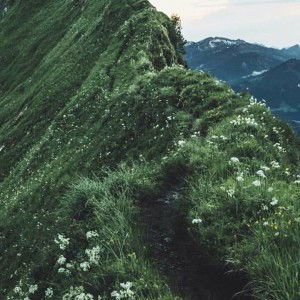 Regner Lee profile icon