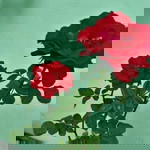 Dhewy Noer Fatimah profile icon