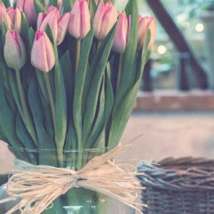 Humaira profile icon