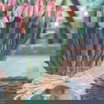 Humaira profile icon