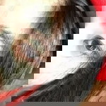 Aoi Kuroda profile icon