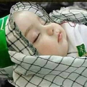 nurlaila profile icon