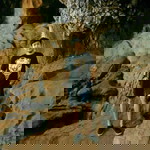 Boil Brabra profile icon