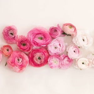 qonitah profile icon