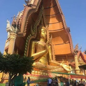 Angoej Kingsukh profile icon