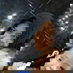 Dita Faqih Alkhulaifi profile icon