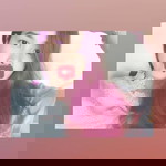 P'Pi Pinida profile icon