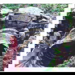 Muhammad Azan Akbar profile icon