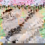 Setya Fitri profile icon